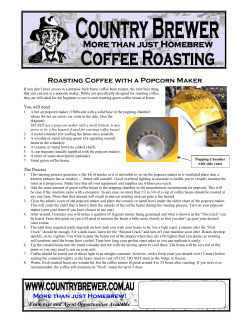 Roasting Coffee with a Popcorn Maker
