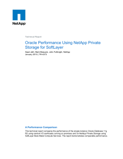 Oracle Performance Using NetApp Private Storage for SoftLayer