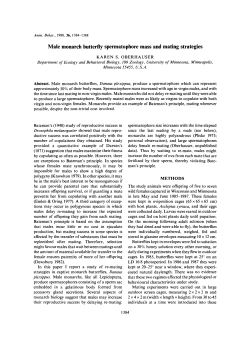 Male monarch butterfly spermatophore mass and mating strategies