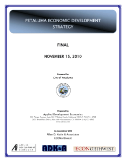petaluma economic development strategy final