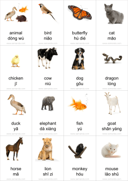 animal bird butterfly cat chicken cow dog dragon duck elephant fish
