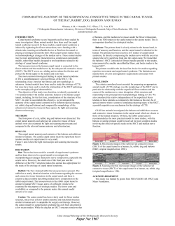 comparative anatomy of the subsynovial connective tissue in the
