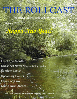 Happy New Year! - Massachusetts-Rhode Island Council of Trout