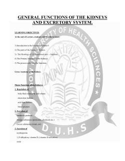 General Functions Of The Kidneys And Excretory System
