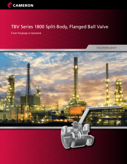 TBV Series 1800 Split-Body, Flanged Ball Valve