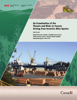 An Examination of the Threats and Risks to Forests Arising from