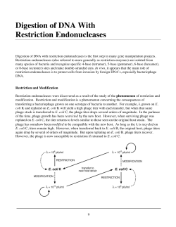 Digestion of DNA With Restriction Endonucleases - RIT