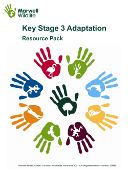 Key Stage 3 Adaptation
