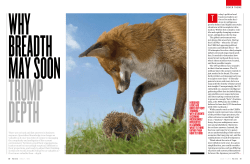 HedgeHog logic Has boxed out foxy tHinking