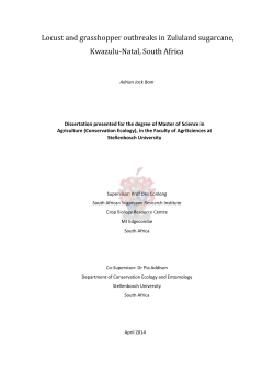 Locust and grasshopper outbreaks in Zululand sugarcane, Kwazulu