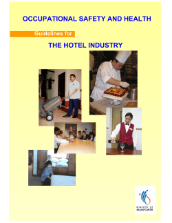 Guidelines for the Hotel Industry