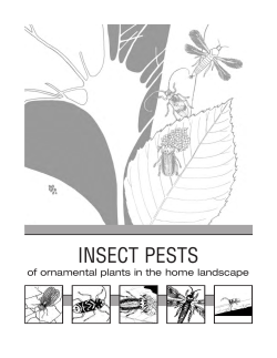 Insect Pests of ornamental plants in the home landscape