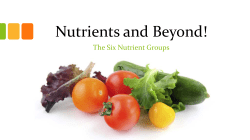PowerPoint - Nutrients and Beyond! The Six Nutrient Groups