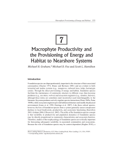 Macrophyte Productivity and the Provisioning of Energy and Habitat