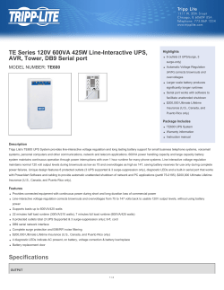 TE Series 120V 600VA 425W Line-Interactive UPS, AVR