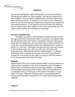 Alligators - EdTech Leaders Online