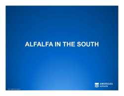 alfalfa in the south