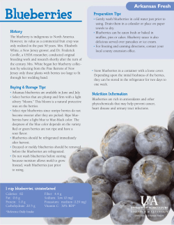 Arkansas Fresh Blueberries - FCS506