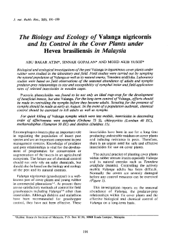 The Biology and Ecology of Valanga nigricornis and Its Control in