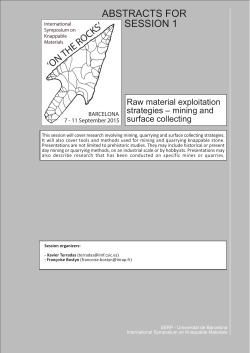 Raw material exploitation strategies &ndash; mining and surface collecting