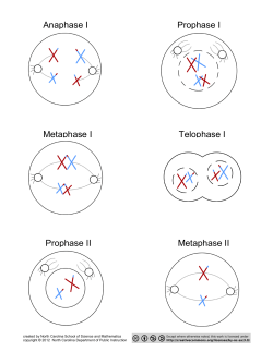 6 diagrams per sheet -name labels