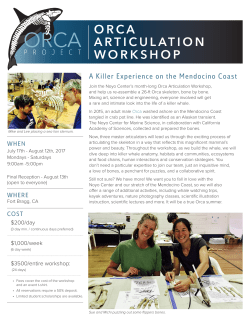 orca articulation workshop