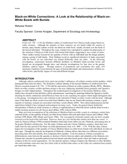 Black-on-White Connections: A Look at the Relationship of