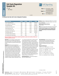 Cell Cycle Regulation Sampler Kit