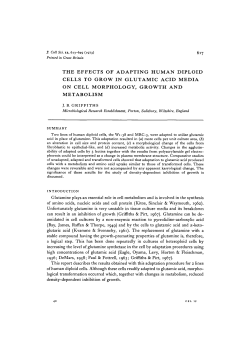 the effects of adapting human diploid cells to grow in glutamic acid