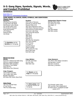 S-3: Gang Signs, Symbols, Signals, Words, and Conduct Prohibited