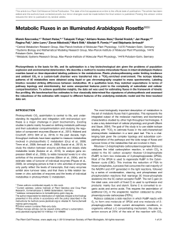 Metabolic Fluxes in an Illuminated Arabidopsis
