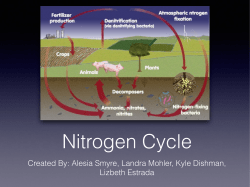Nitrogen Cycle.key