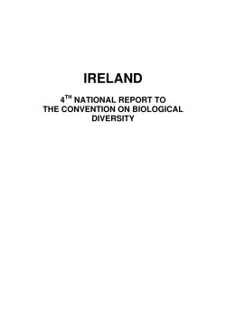 Fourth National Report to the CBD