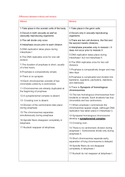 Difference between mitosis and meiosis Meiosis Mitosis 1