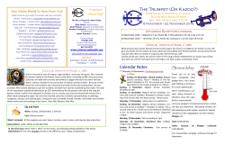 The Trumpet (Or Kazoo?)