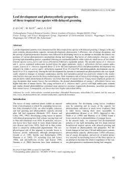 Leaf development and photosynthetic properties of three tropical