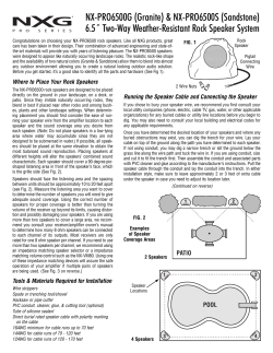 NX-PRO6500G, NX-PRO6500S Rock Speakers