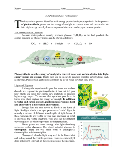 8-2 Photosynthesis: An Overview T