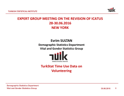 EXPERT GROUP MEETING ON THE REVISION OF ICATUS 28