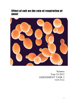Effect of salt on the rate of respiration of yeast Science Year 10 2015
