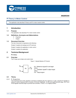 PI Theory in Motor Control