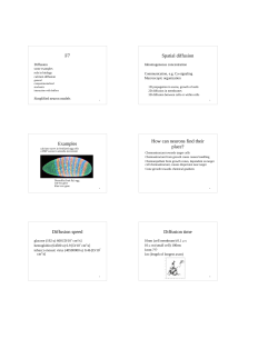 F7 Spatial diffusion Examples How can neurons find their place