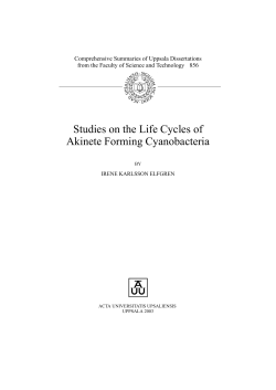 Studies on the Life Cycles of Akinete Forming Cyanobacteria