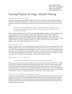 Training Products for Dogs &ndash; Muzzle Training