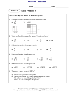 Extra Practice 1