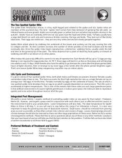 The Two Spotted Spider Mite Life Cycle and Environment Integrated