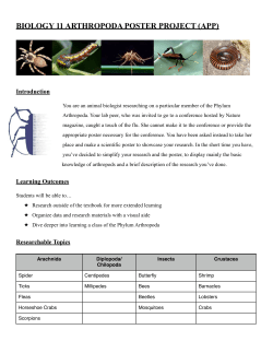 Arthropoda Project