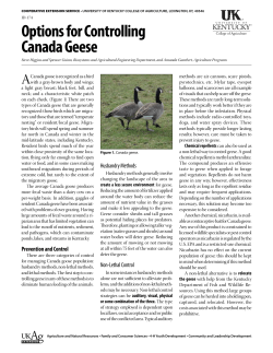 ID-174: Options for Controlling Canada Geese