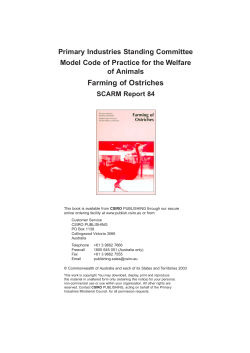 Farming of Ostriches