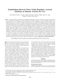 Endothelium-Derived Nitric Oxide Regulates Arterial Elasticity in